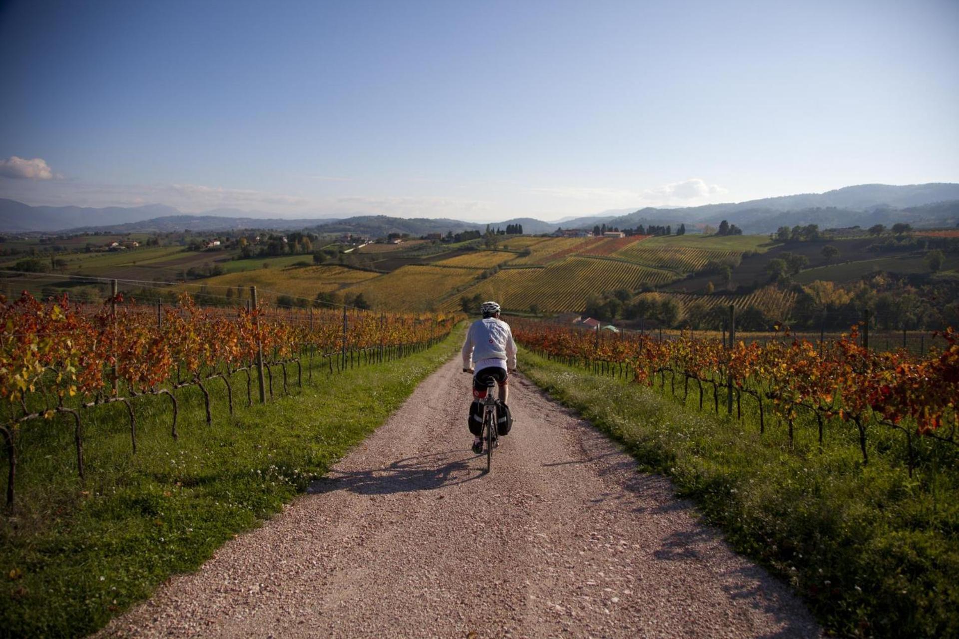 Appartamento Agriturismo Bio Tra Cielo e Terra Grutti Esterno foto